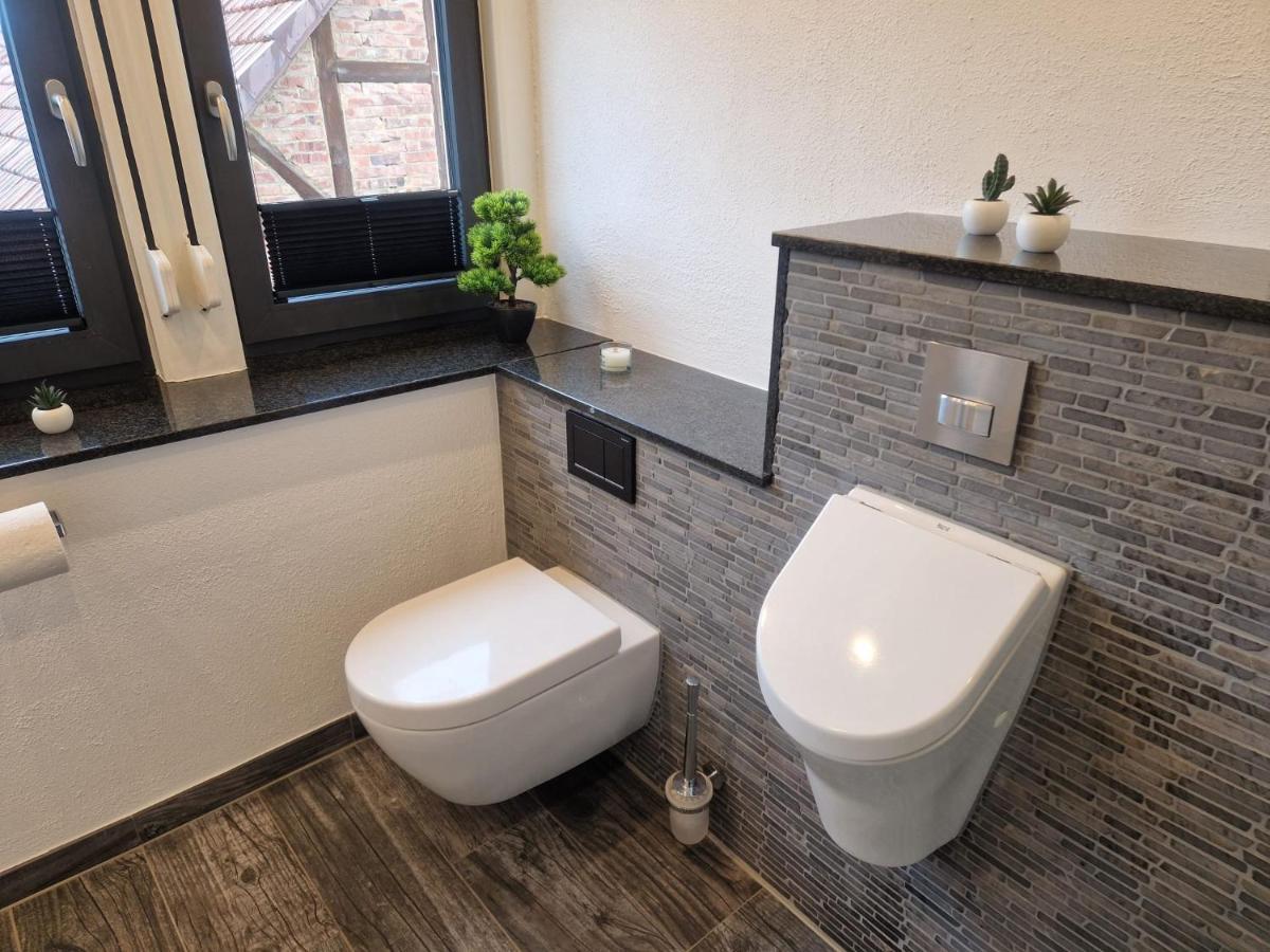 Ferienwohnung Am See Dillich - Eigener Garten - Ruhige Lage - Natur Vor Der Haustuer Borken  Ngoại thất bức ảnh