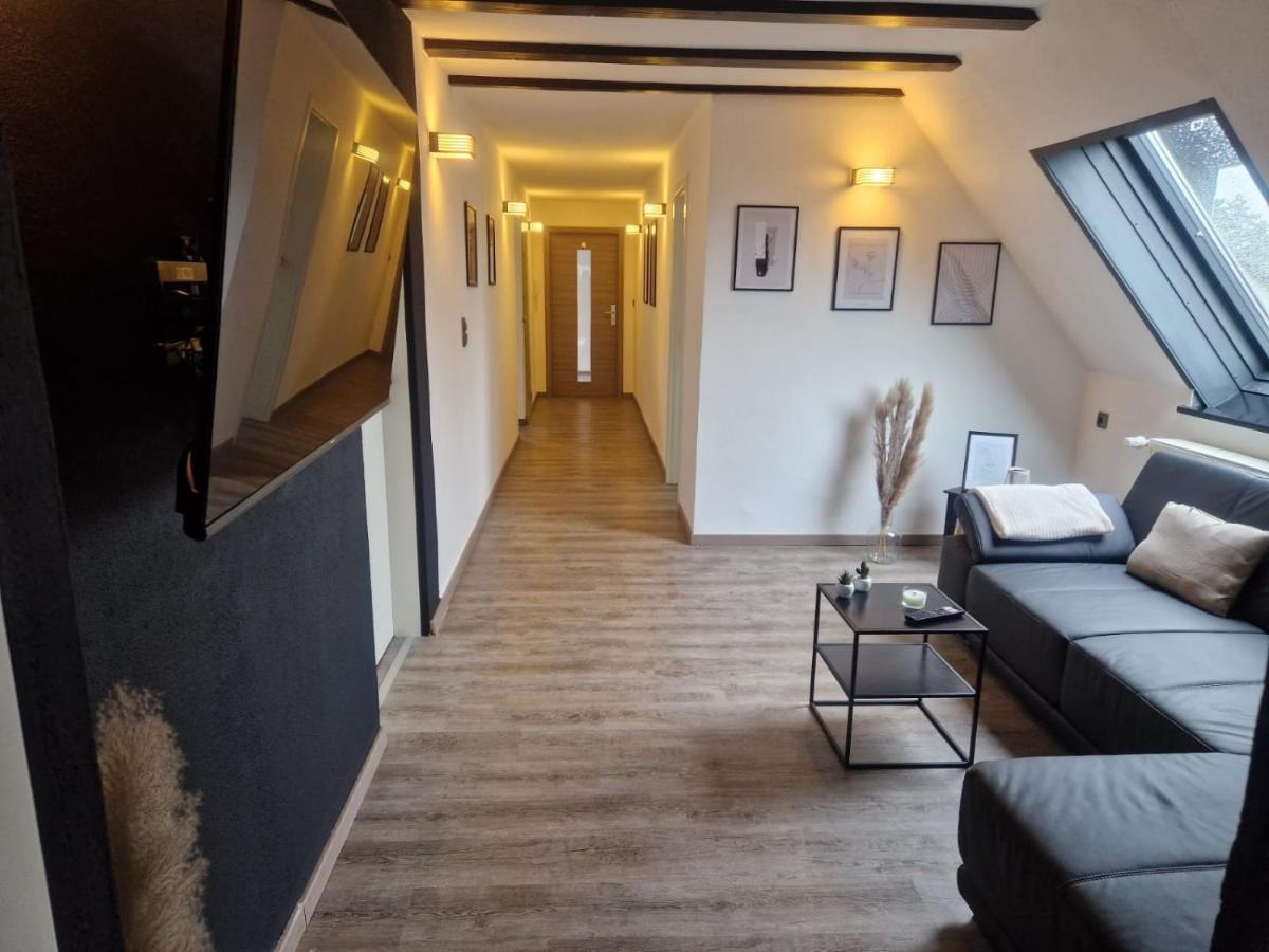 Ferienwohnung Am See Dillich - Eigener Garten - Ruhige Lage - Natur Vor Der Haustuer Borken  Ngoại thất bức ảnh