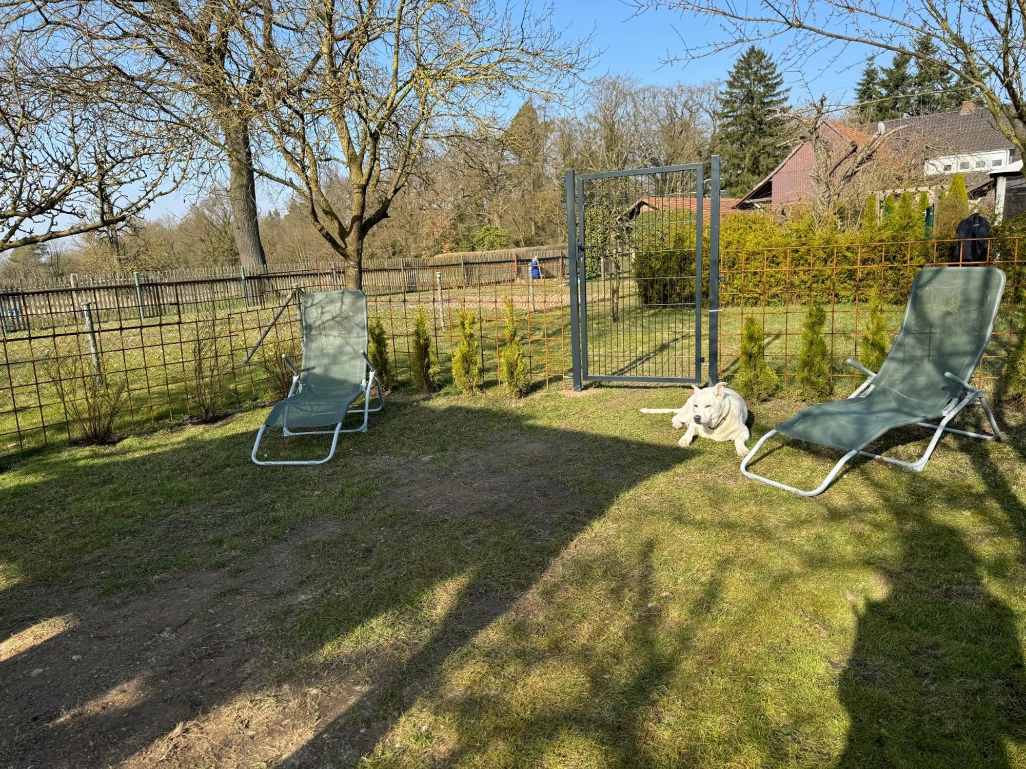 Ferienwohnung Am See Dillich - Eigener Garten - Ruhige Lage - Natur Vor Der Haustuer Borken  Ngoại thất bức ảnh